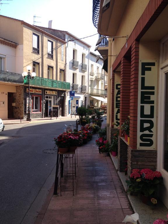 Villa Bougainvilliers บันยุลส์-ซูร์-แมร์ ภายนอก รูปภาพ