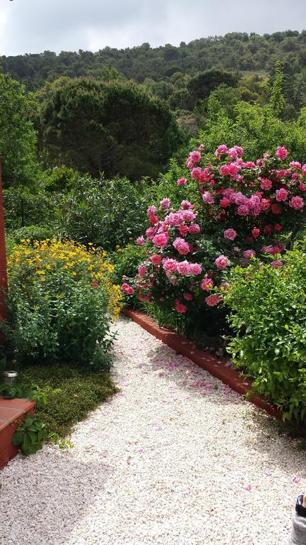 Villa Bougainvilliers บันยุลส์-ซูร์-แมร์ ห้อง รูปภาพ